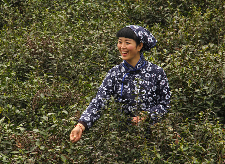 免费软件直播 banner